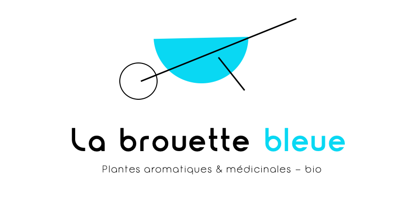 La brouette bleue